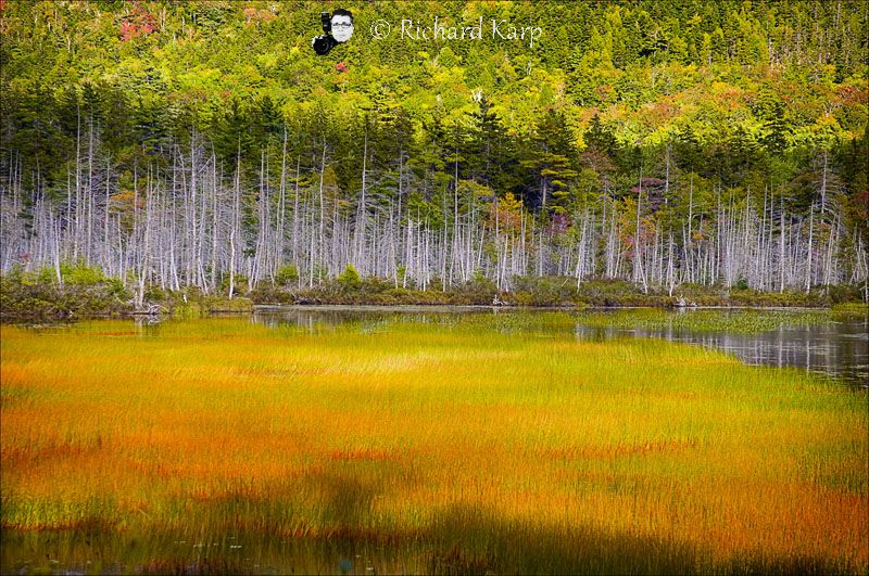 Upper Hadlock Pond, Acadia National Park