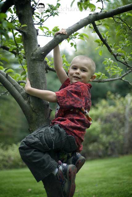 Gavin up the apple tree